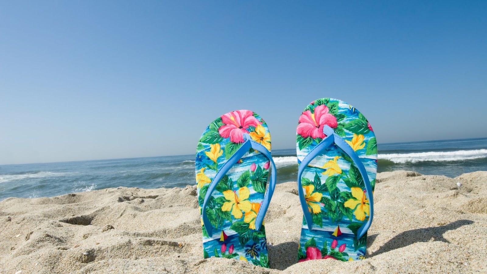 The differences between flip flops and sandals